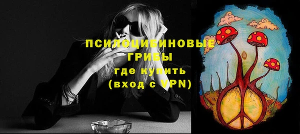 винт Алексеевка