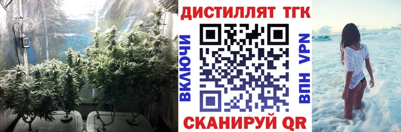 omg   Гагарин  ТГК гашишное масло 