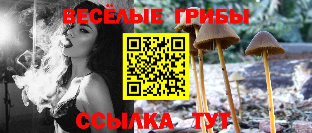 Гагарин  Псилоцибиновые грибы ЛСД  Псилоцибиновые грибы мицелий  где купить наркоту  Вход с VPN 